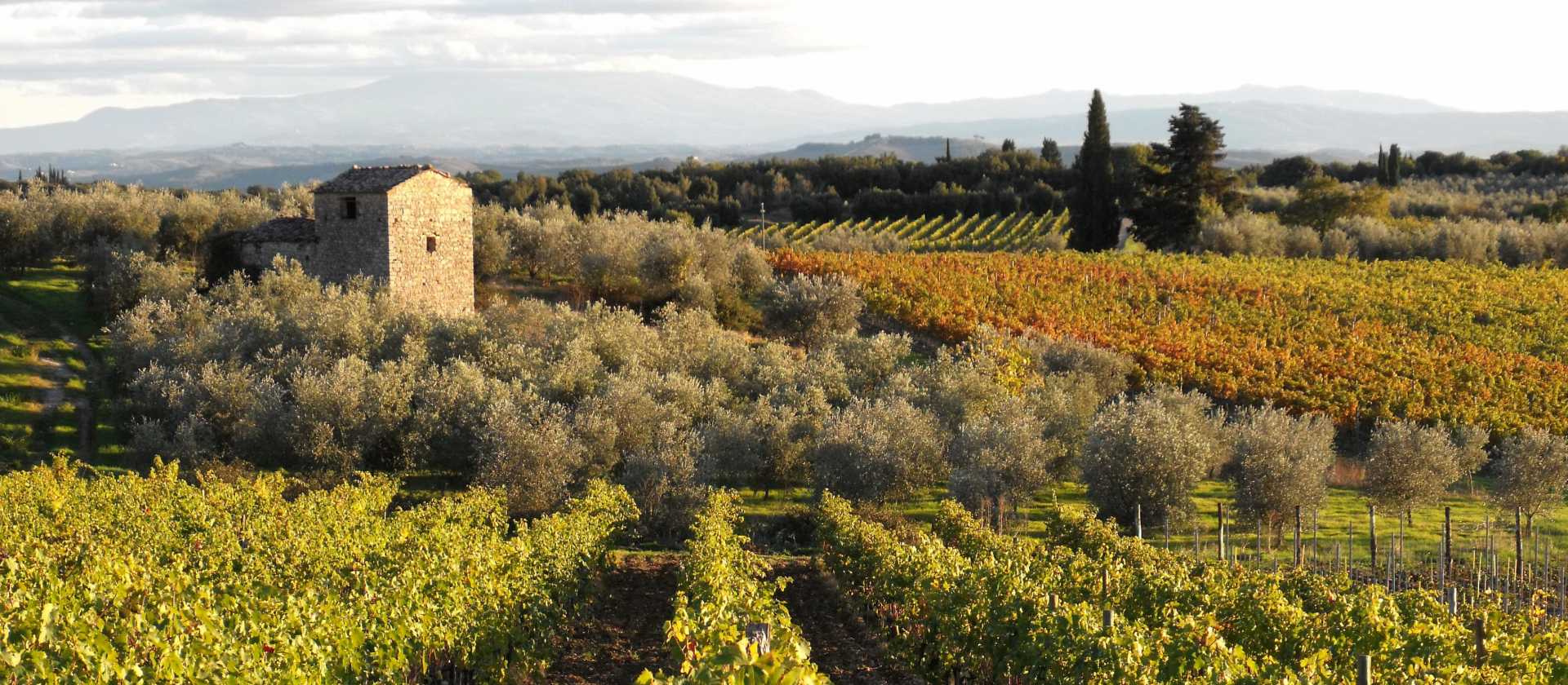 Beautiful Tuscan countryside