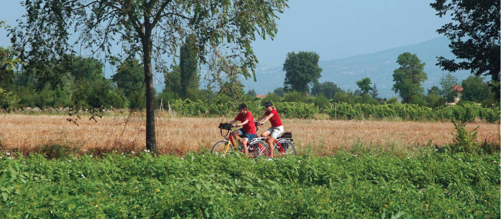 Self guided cyclists enjoy the myriad of crops in the valley floor of Umbria | Sue Badyari
