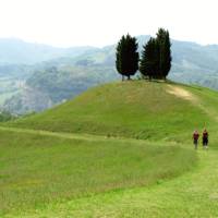 Hiking through Tuscany on the Via Francigena