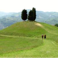 Hiking through Tuscany on the Via Francigena