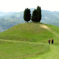 Superb walking on the Via degli Dei