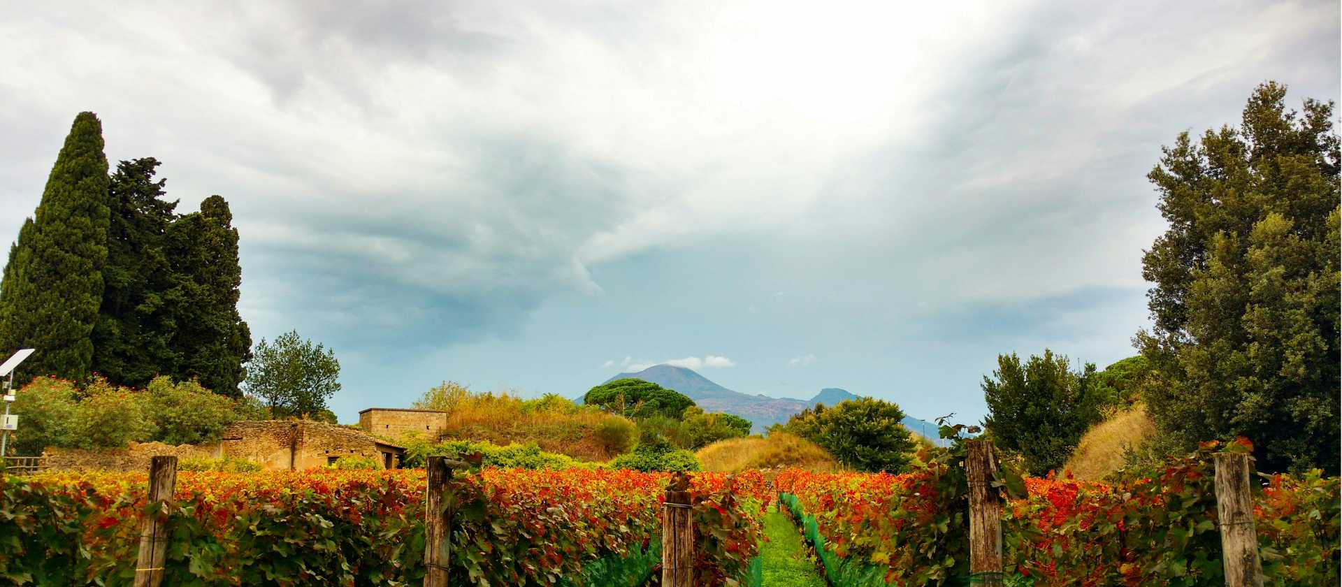 Where fertile vineyards meet the shadow of Mount Vesuvius. | Pieter Biesemans