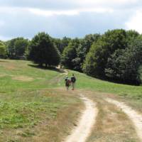 Walkers on the route from La Verna to Caprese Michelangelo