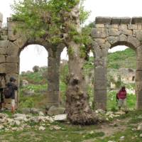 Walker in ancient ruins | Kate Baker