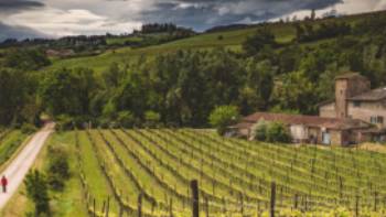 Walkers take in the typical Tuscan landscape on the Via Francigena