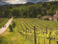 Walkers take in the typical Tuscan landscape on the Via Francigena |  <i>Tim Charody</i>