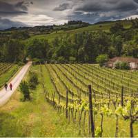 Walkers take in the typical Tuscan landscape on the Via Francigena | Tim Charody