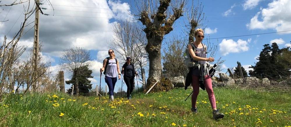 A group of friends walking on the Via Francigena in Tuscany |  <i>Allie Peden</i>