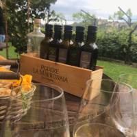 Sample wine, olive oil and biscotti in the Chianti region in Tuscany