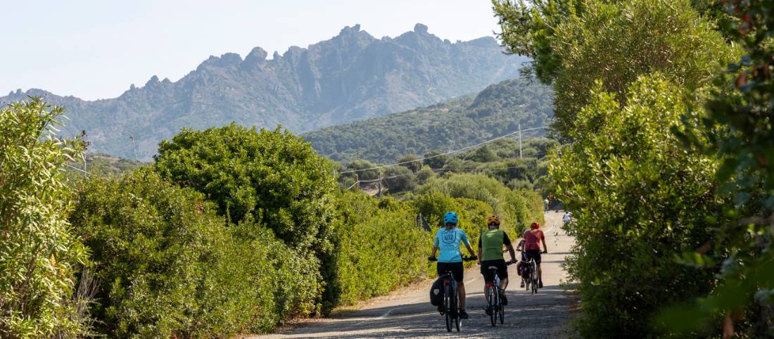 Quiet road of Sardinia