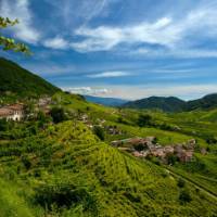 Vineyards of Prosecco