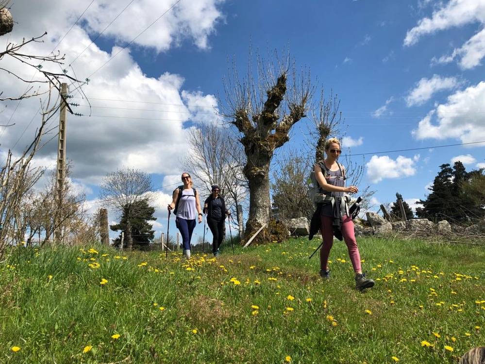 Walking in the glorious Italian weather on the Via Francigena |  <i>Allie Peden</i>