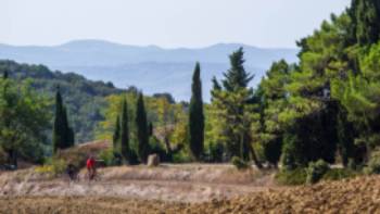 Bike riding between Volterra and San Gimignano