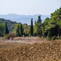 Bike riding between Volterra and San Gimignano | Nicola Santini