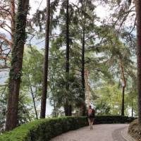 Walking alongside Lake Como | Jaclyn Lofts