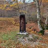 Scenery on St Benedict's Way