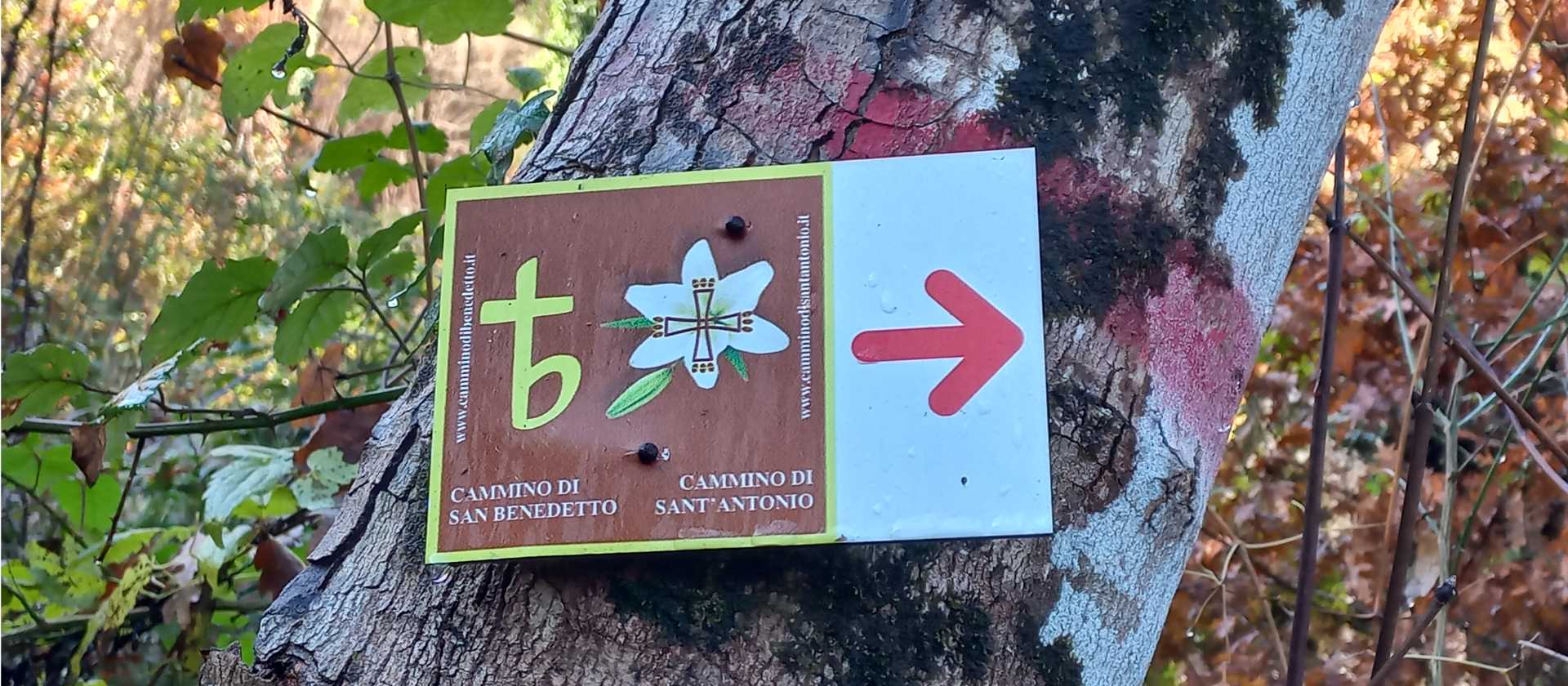 Sign on the St Benedict Camino