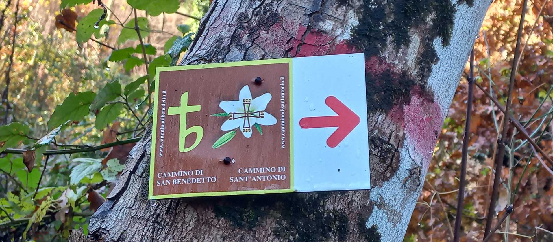 Sign on the St Benedict Camino