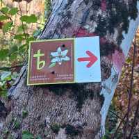 Sign on the St Benedict Camino