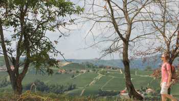 Walking in Piedmont