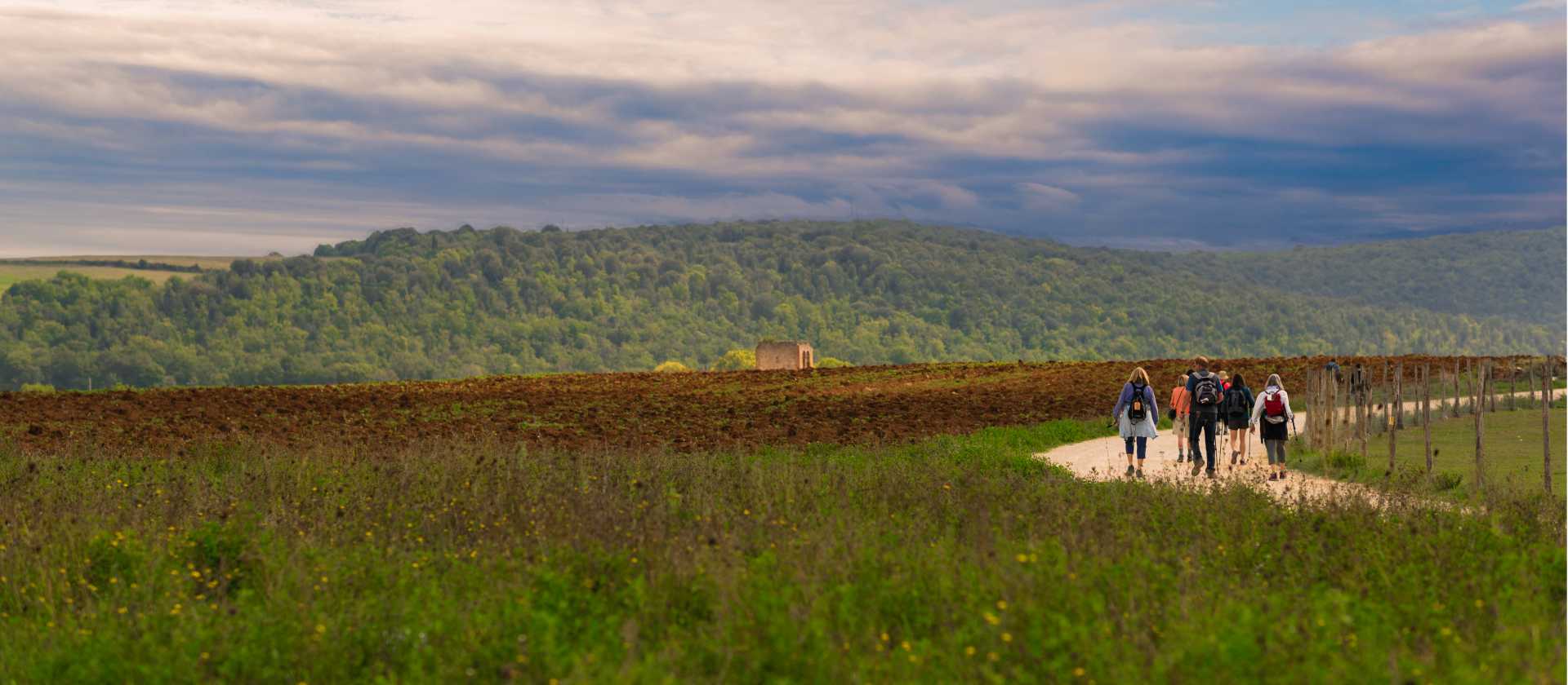 Walking through the Umbrian landscape