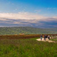 Walking through the Umbrian landscape