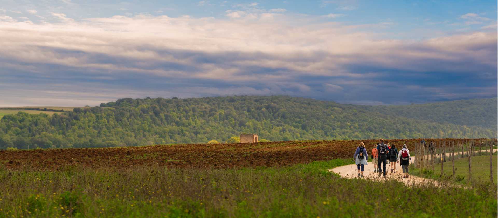 Walking through the Umbrian landscape