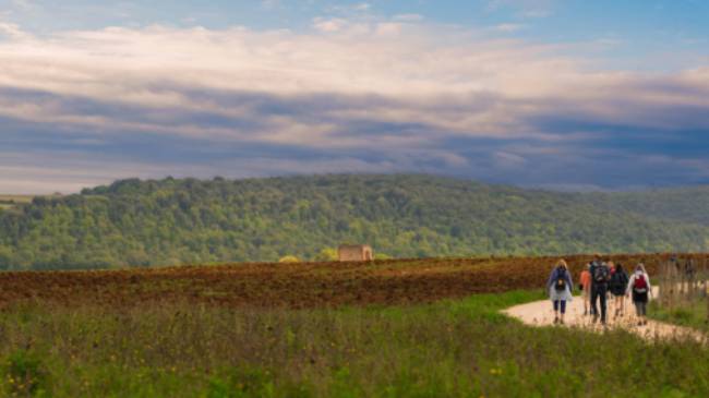 Walking through the Umbrian landscape