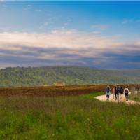 Walking through the Umbrian landscape