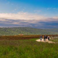 Walking through the Umbrian landscape