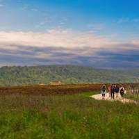 Walking through the Umbrian landscape