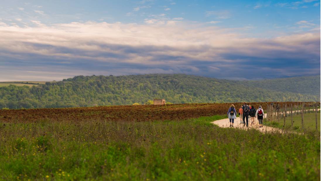 Walking through the Tuscan landscape