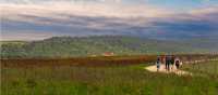 Walking through the Umbrian landscape