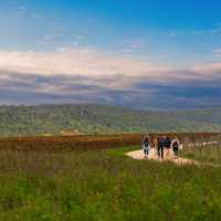 Walking through the Umbrian landscape