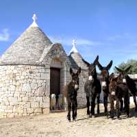 Donkeys in front of trulli buildings in Italy