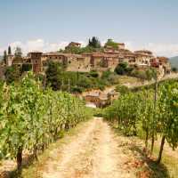 From the vineyards to Montefioralle in Tuscany