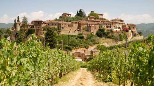 From the vineyards to Montefioralle in Tuscany