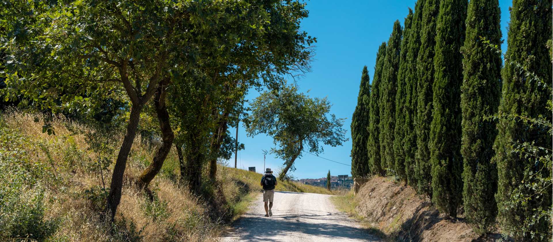 Walk through beautiful Tuscan landscapes on the Via Francigena