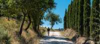 Walk through beautiful Tuscan landscapes on the Via Francigena