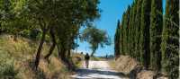 Walk through beautiful Tuscan landscapes on the Via Francigena