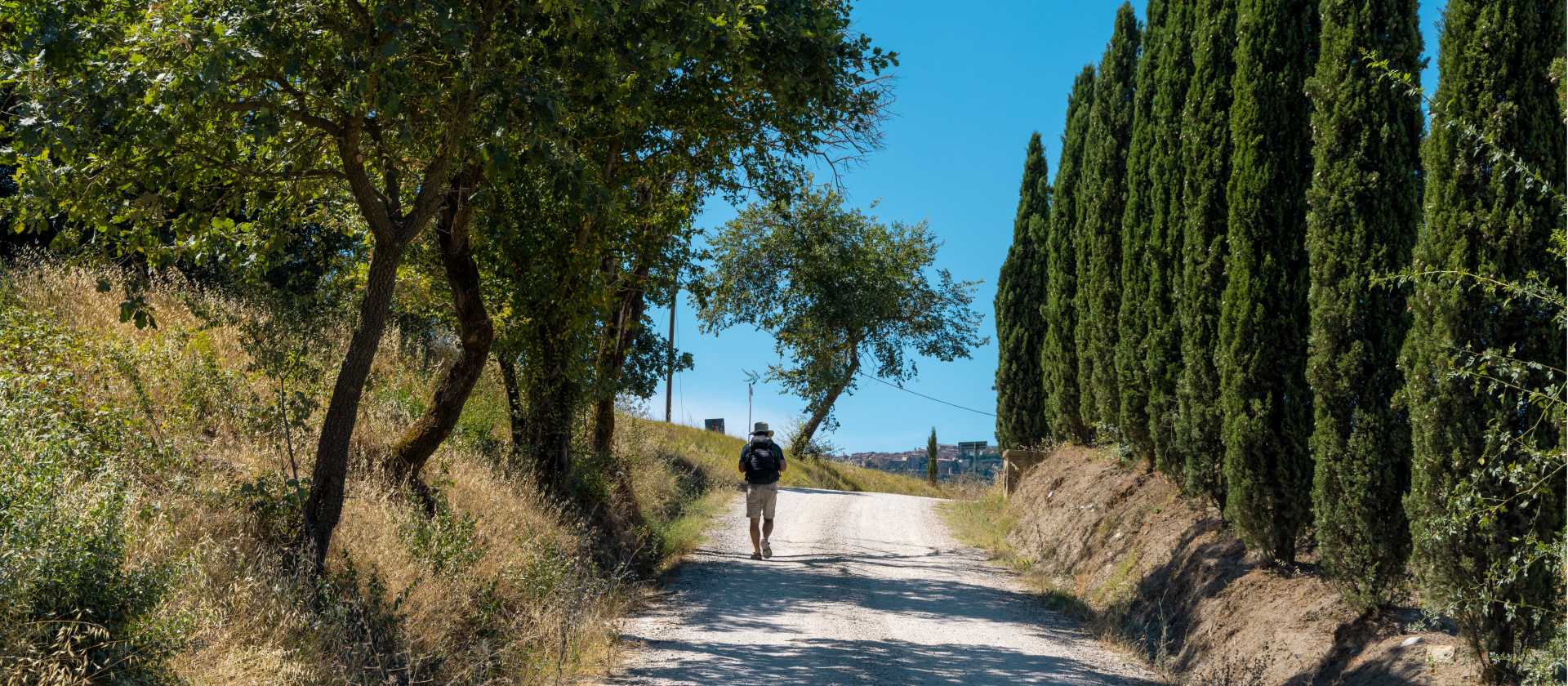 Walk through beautiful Tuscan landscapes on the Via Francigena