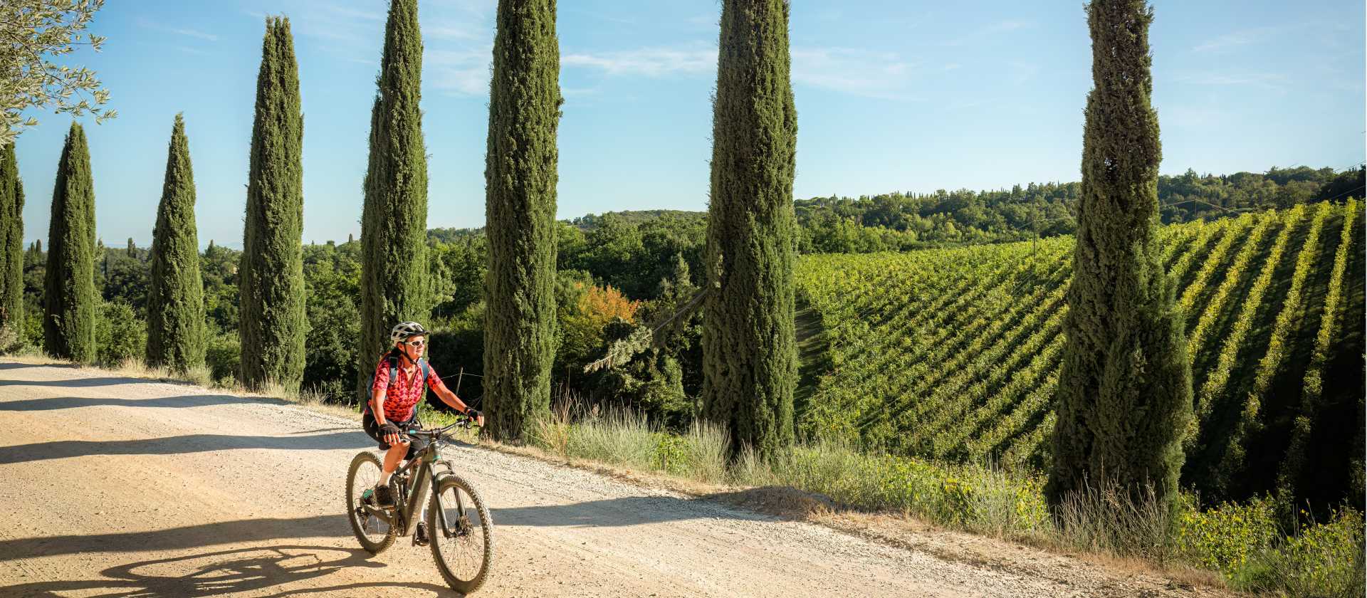 Cycling down a cypress avenue in Tuscany