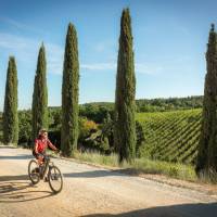 Cycling down a cypress avenue in Tuscany