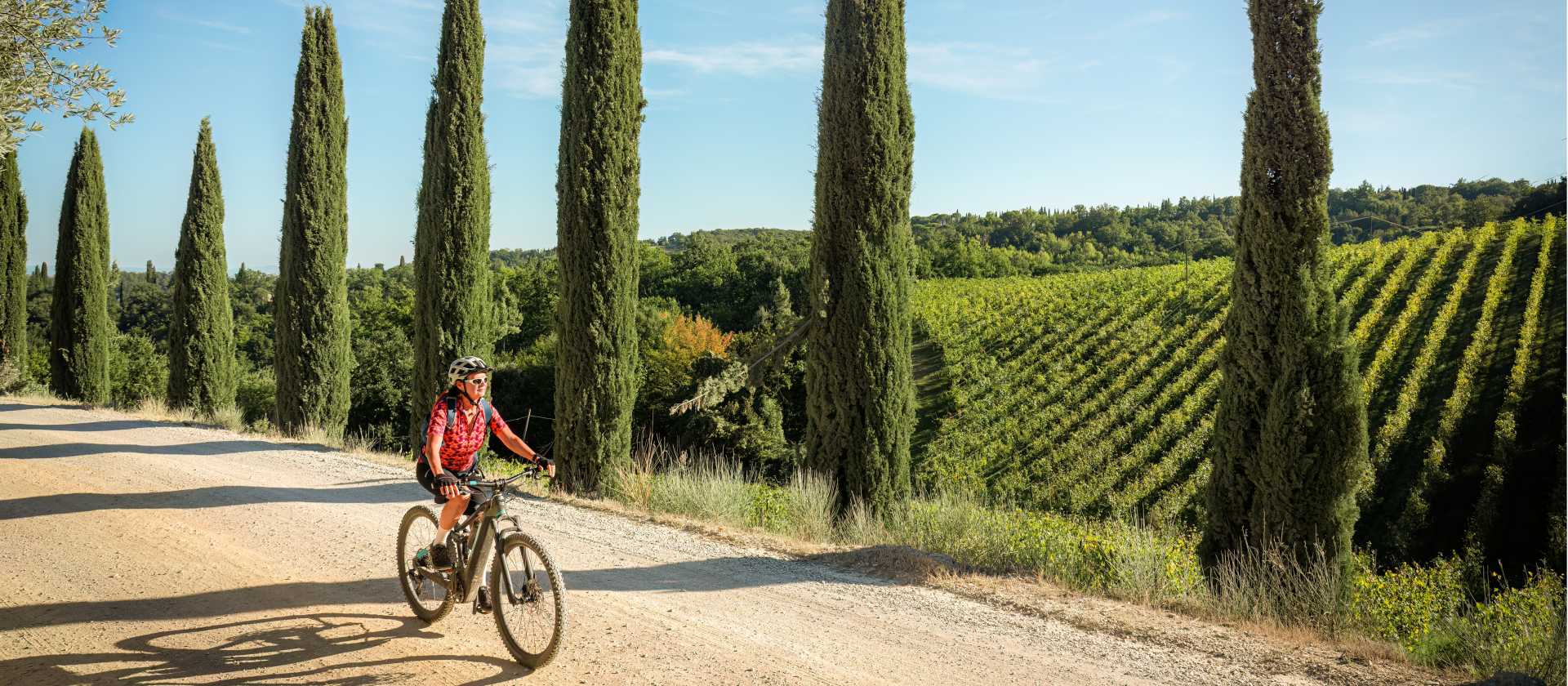 Cycling down a cypress avenue in Tuscany