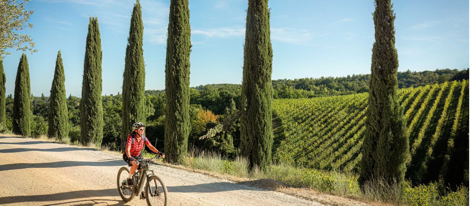 Cycling down a cypress avenue in Tuscany