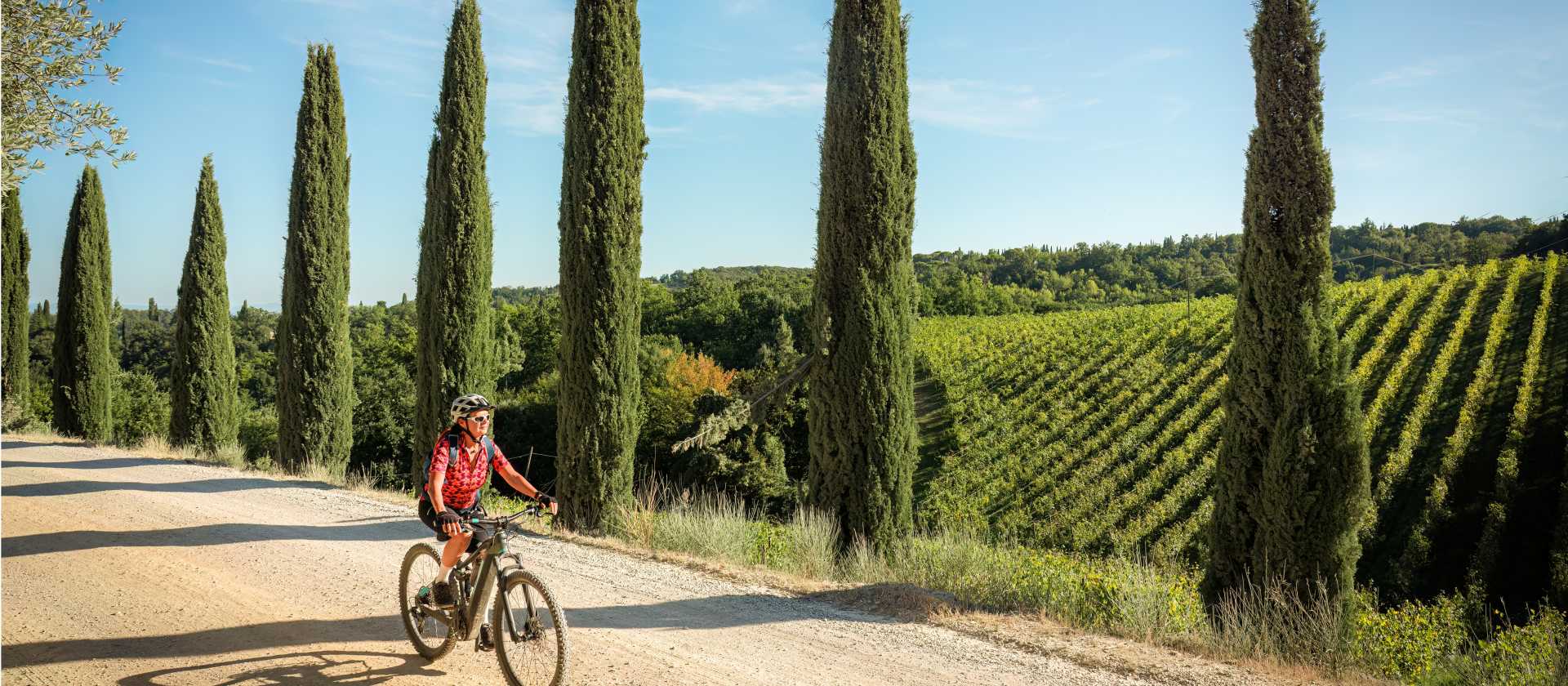 Cycling down a cypress avenue in Tuscany