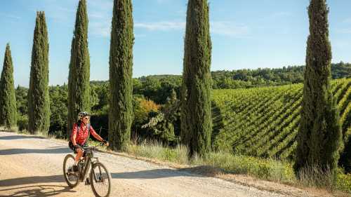Cycling down a cypress avenue in Tuscany