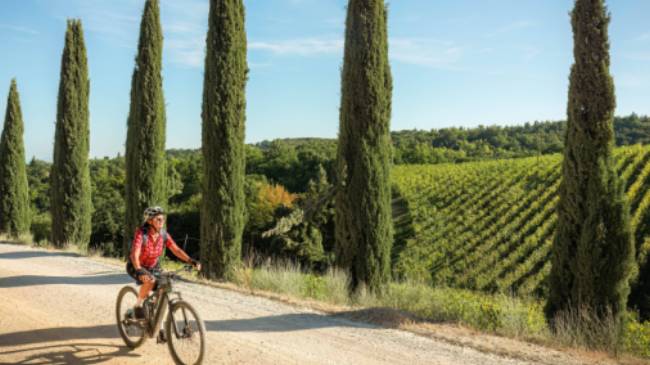 Cycling down a cypress avenue in Tuscany