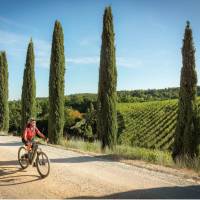 Cycling down a cypress avenue in Tuscany