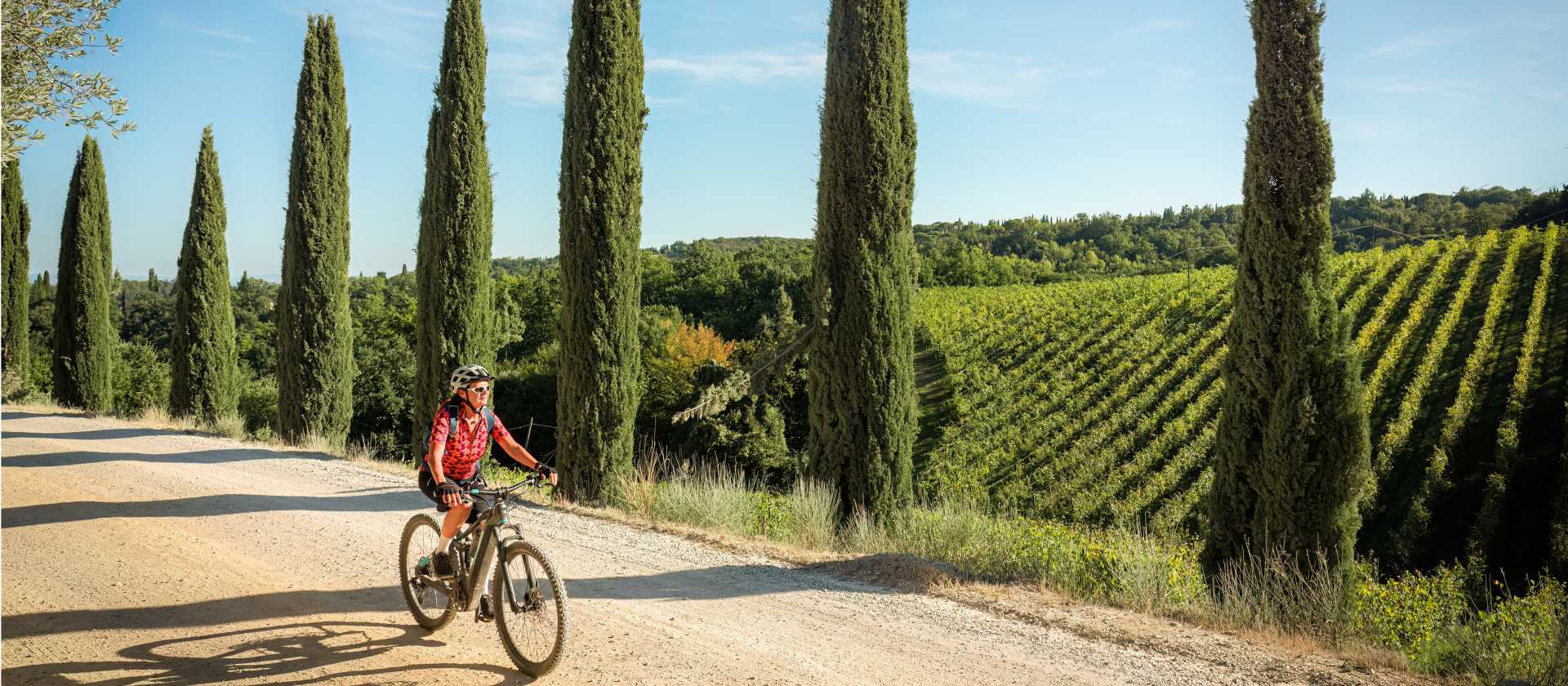 Cycling down a cypress avenue in Tuscany